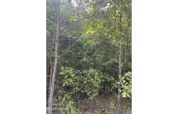 Stewart Road, Henderson, TN 38340