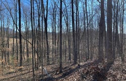 The Woodlands lot: 12E, HAYESVILLE, NC 28904
