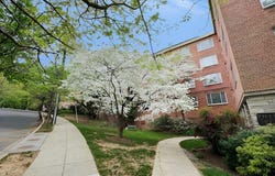 4100 W STREET NW, WASHINGTON, DC 20007