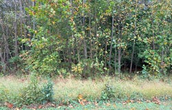 12813 JAMES MONROE Highway, LEESBURG, VA 20176