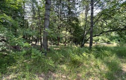24570 W Riverside Drive, Hillman, MI 49746