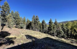 Vail Loop lot: 373, Angel Fire, NM 87710