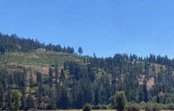 25XX HALL CREEK RD, INCHELIUM, WA 99138