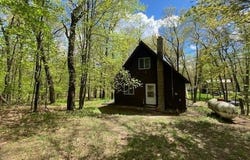 238 Maple Street, Bitely, MI 49309