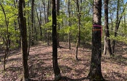 0 Grant County Rd 291020, Prattsville, AR 72129