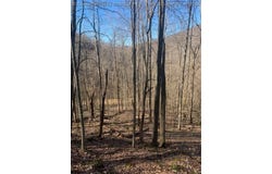 Buckeye Creek Road, Sutton, WV 26601