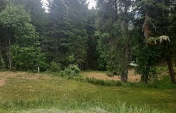 252 MAY CREEK RD, Days Creek, OR 97429