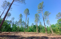 Carson Road, Cleveland, NC 27013