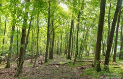 10365 E Klees Road, Crystal, MI 48818