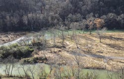 14 Tranquil Ln, Glenwood, AR 71943