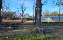 164 Leon Ward Road, Perry, FL 32347