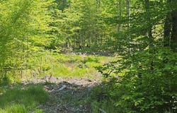 18b Isaac Stevens Road, Bridgton, ME 04009