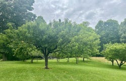150 Miller Crossing, Jonesborough, TN 37659
