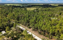 6339 NW 17th Ct, Bell, FL 32619