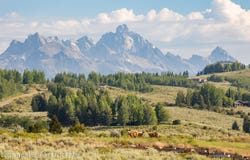 400 RED TAIL BUTTE Road, Jackson, WY 83001