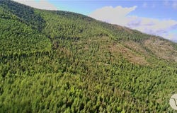 W Fork Combest Creek Road, MT 59859
