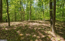 LETCHER Road E, BRANDYWINE, MD 20613