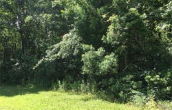 91 W Magnolia, Kingsland, GA 31548