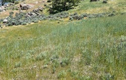 29520 Butterfield, Tehachapi, CA 93561