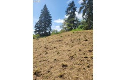 Nicolai cutoff rd, Rainier, OR 97048