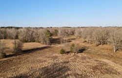 825 COUNTY ROAD 2511, Naples, TX 75568