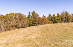 318 Monticello Road, Weaverville, NC 28787
