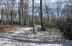 county road 75 W, Cayuga, IN 47928