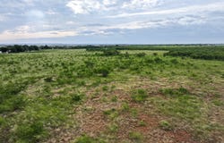 173 Porcupine Trail, Tuscola, TX 79562