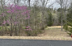 000 Appaloosa Trail, Saddlebrooke, MO 65630