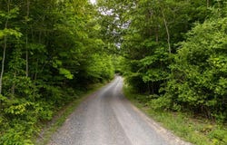 115 BRAMBLEBERRY BEND, BRAGG, WV 25918