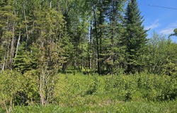(B) Gager Rd, Engadine, MI 49827