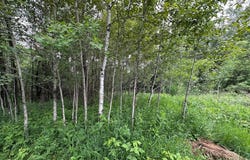 3938 E 5th St, Superior, WI 54880