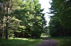 28230 Paulson Rd, Washburn, WI 54891
