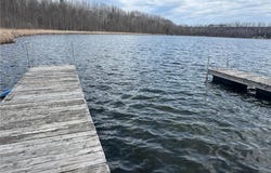 113 N Birch Ln, Coleraine, MN 55722