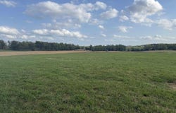 Dots Cove, Quitman, AR 72131