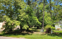 31531 River Pines Dr, Springfield, LA 70462