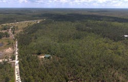 101 320th Ave, Steinhatchee, FL 32359