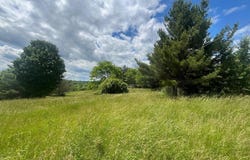 2110& 2120 Lemon Northcutt Road, Dry Ridge, KY 41035