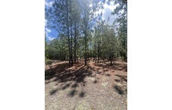 Cassie Road, Leesville, SC 29070