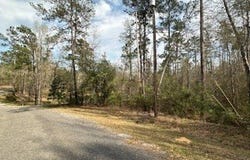 0 Woodland Drive, Abbeville, AL 36310