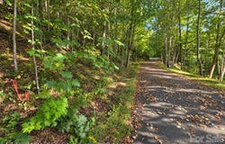 250 Turn-A-Bout Court, Maggie Valley, NC 28785