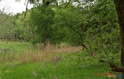 240 Caney Creek Road, New Braunfels, TX 78130