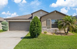 11803 BLACKEYED SUSAN Drive, RIVERVIEW, FL 33579