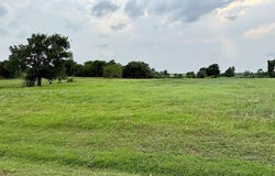 1185 Bluebonnet Ridge Drive, Chappell Hill, TX 77426