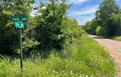 Tract 10 FCR 295, Oakwood, TX 75855
