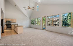 711 Evans Court, Basalt, CO 81621