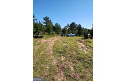 0 Moore, Register, GA 30452