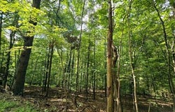 1756 Mohican Lane, Hide A Way Hills, OH 43107