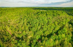 0 E Little Forest Run Rd., Reedsville, OH 45772