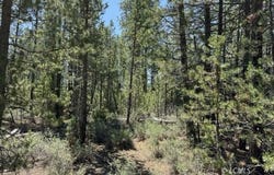 Gabriel Court, Crescent Lake, OR 97733